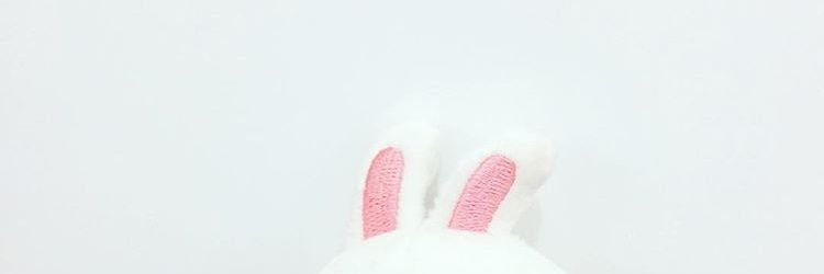 chicukim's profile banner image