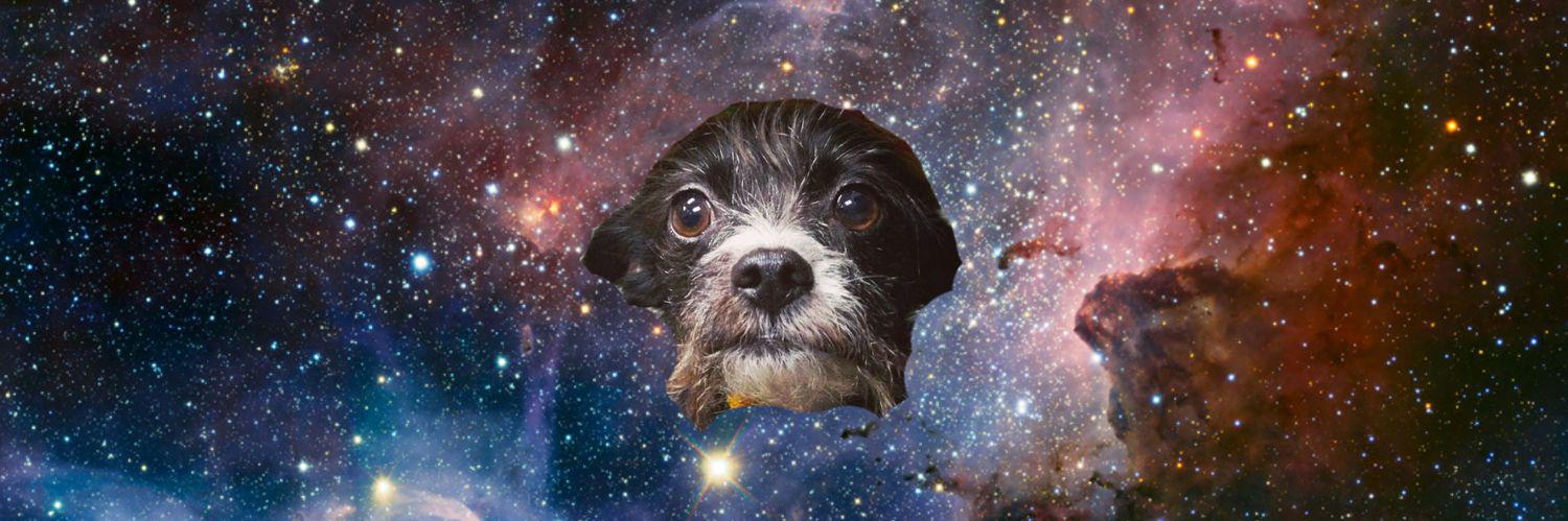 abe_matthews's profile banner image