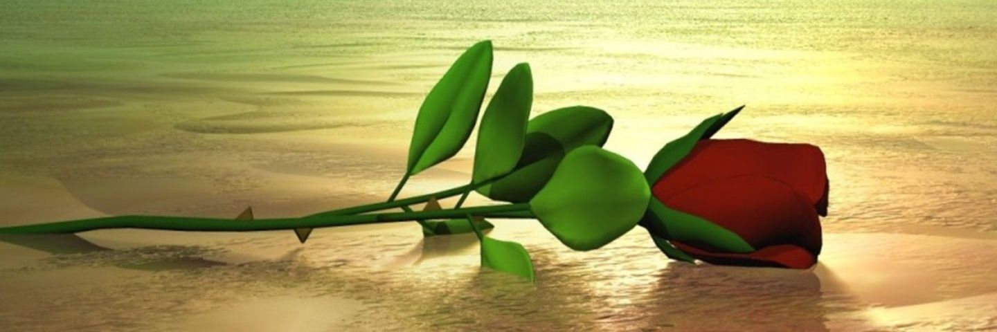 lkutew34's profile banner image