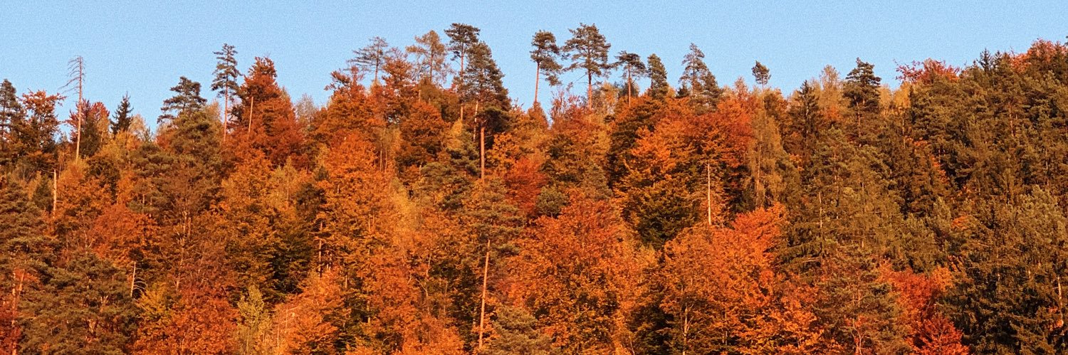 aminniak's profile banner image