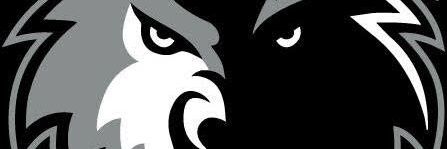 Wolves Football banner