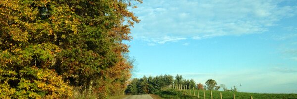 agray1407 Profile Banner