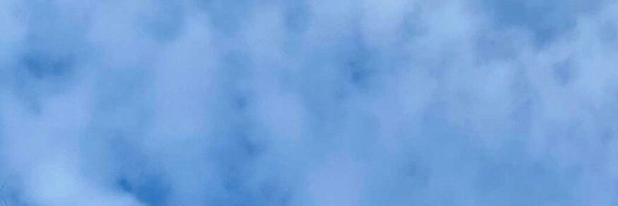 _tinitinitttini's profile banner image