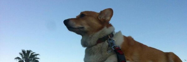 SutterBrown Profile Banner