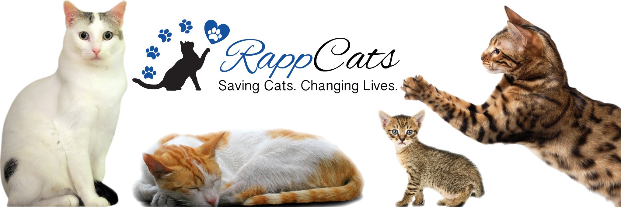 RappCats's banner