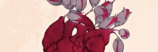 fcxcxa's profile banner image
