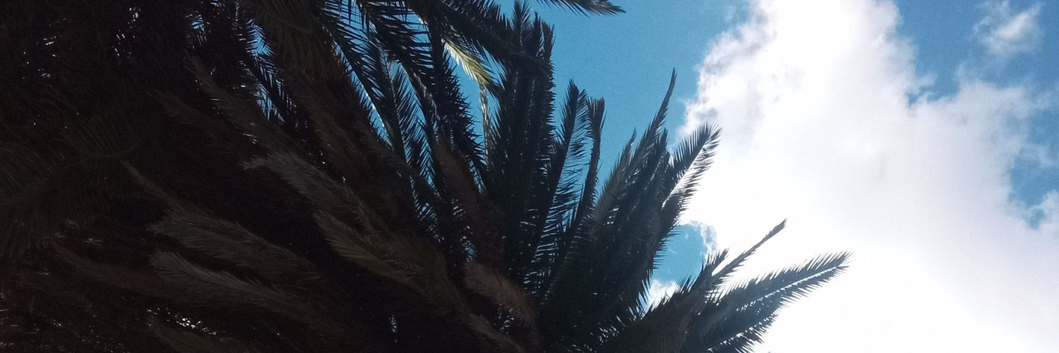 RooSernaok's profile banner image