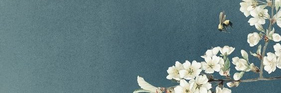 BedzySC's profile banner image