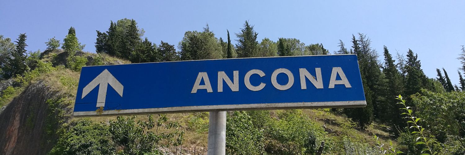 candelaciglic's profile banner image