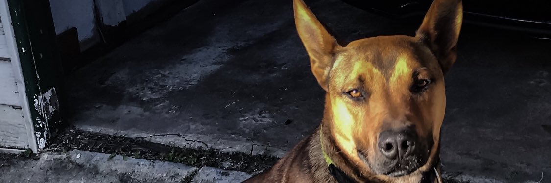 justroxonmute's profile banner image