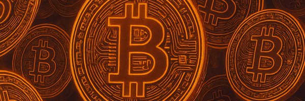 btcNLNico Profile Banner
