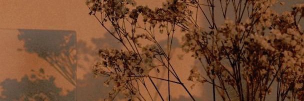 NikkiCosta14's profile banner image