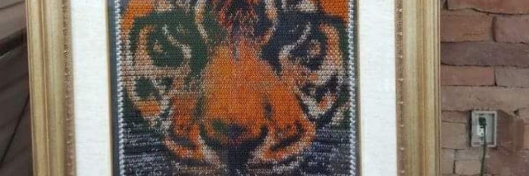 🏁♏ oldandtired banner