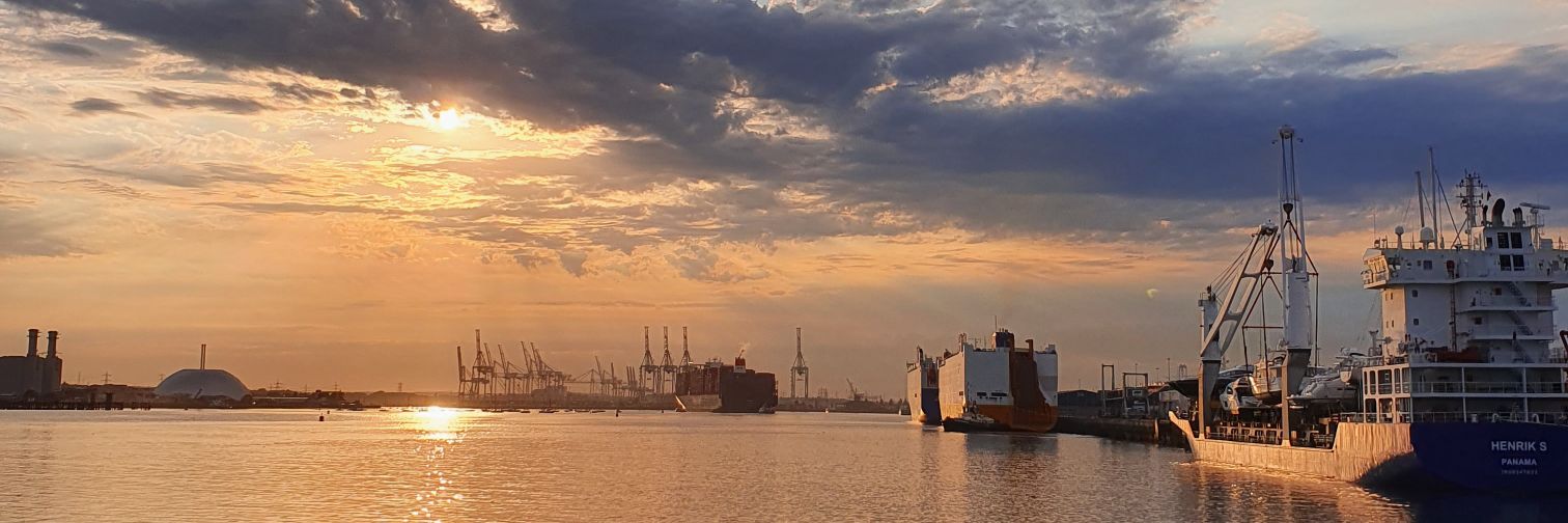 Candice (she/her) banner