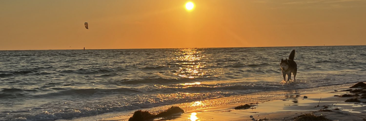 Sheldon Haudenschild banner