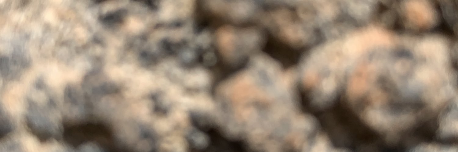 Francisco Rguez banner