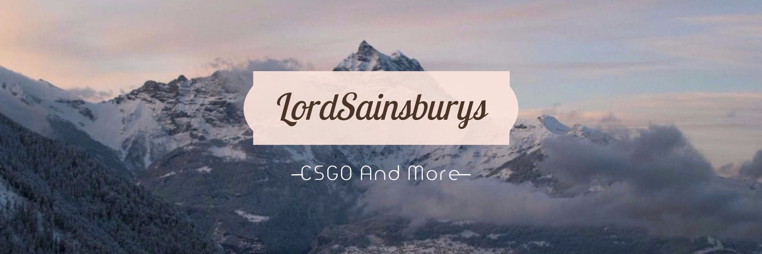 LordSainsburys's profile banner image