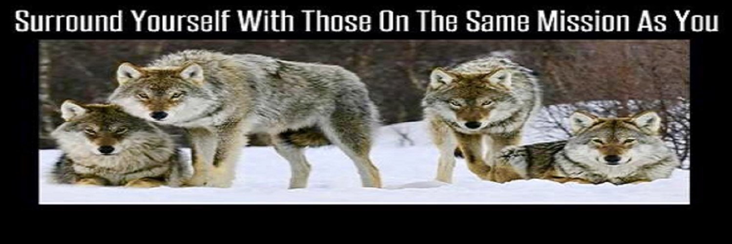 Peter. 🇳🇱🏛️ banner