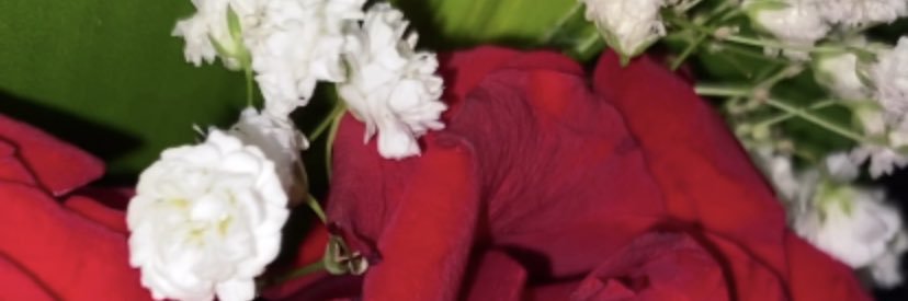 ranhahab's profile banner image