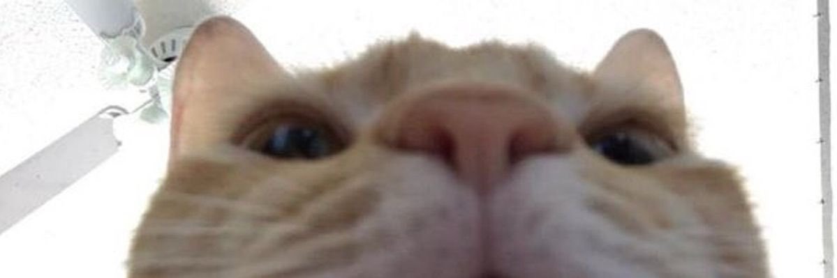 dulcevalenciaa's profile banner image