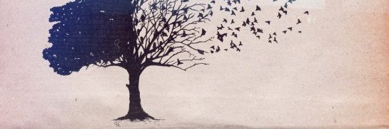 annemalanza's profile banner image
