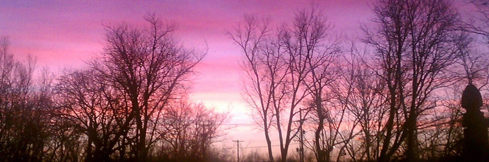 plummer_zachary's profile banner image