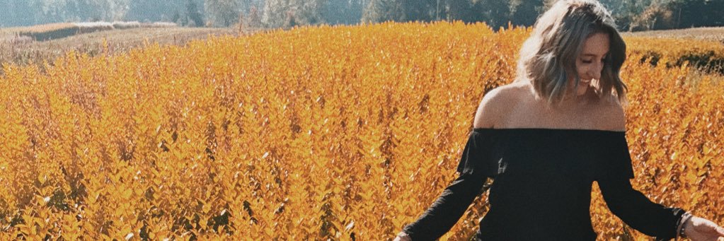 mattykarcsay's profile banner image