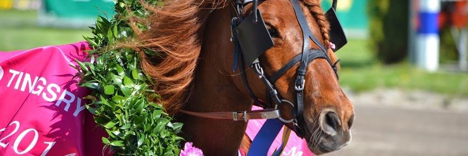 ankinyberg's profile banner image