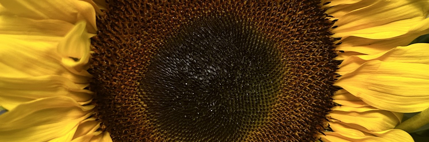 YoSoyElles's profile banner image