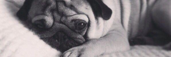 JuliaDegay's profile banner image