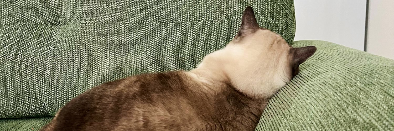 themoilto's profile banner image