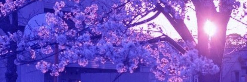 kay_kane's profile banner image