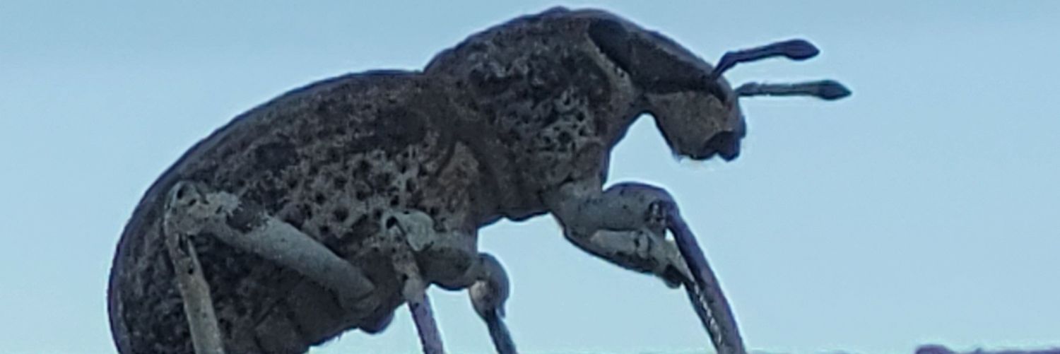 Silent__Merc's profile banner image