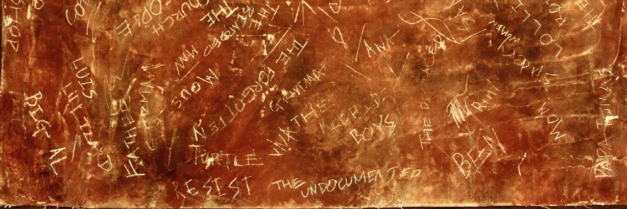 virginia grise banner