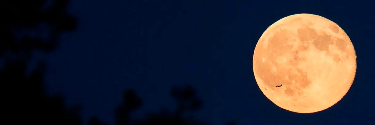 mac_aivan's profile banner image