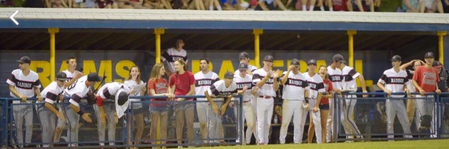 Warhawk Baseball banner