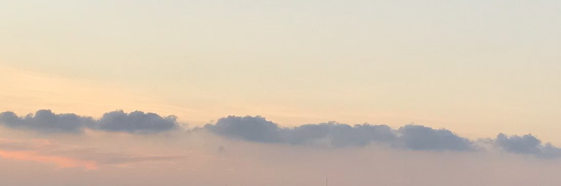 susanthshih's profile banner image
