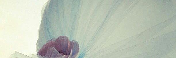 N_M_1435's profile banner image