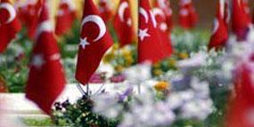 m_askeri's profile banner image