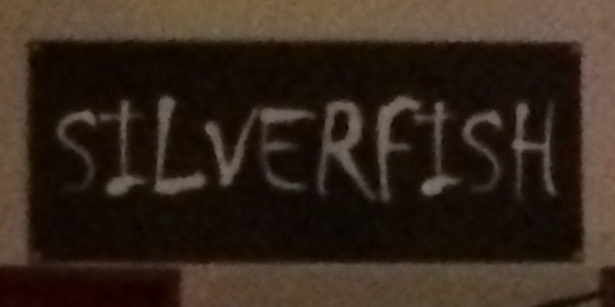 silverfishdevon's profile banner image