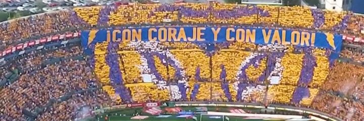 lupitagcadena's profile banner image