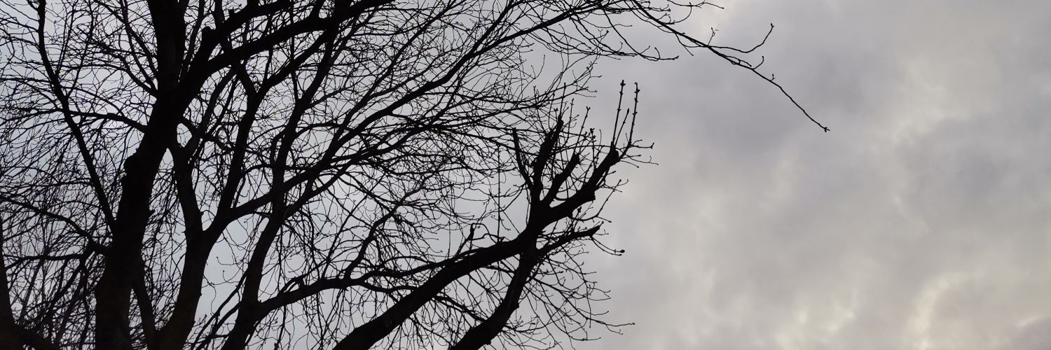 gupsew's profile banner image