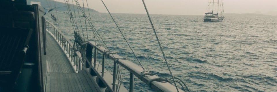 isa_sryldz's profile banner image