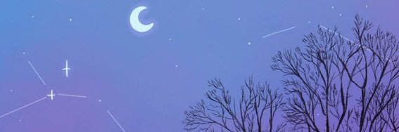kazlicya's profile banner image