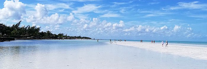 RetireEarlyLifestyle banner