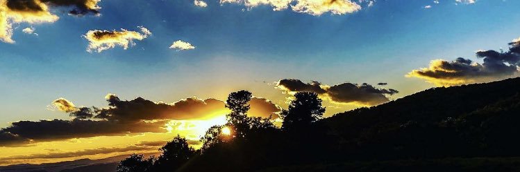 мι¢нєℓℓє w 🟧 banner