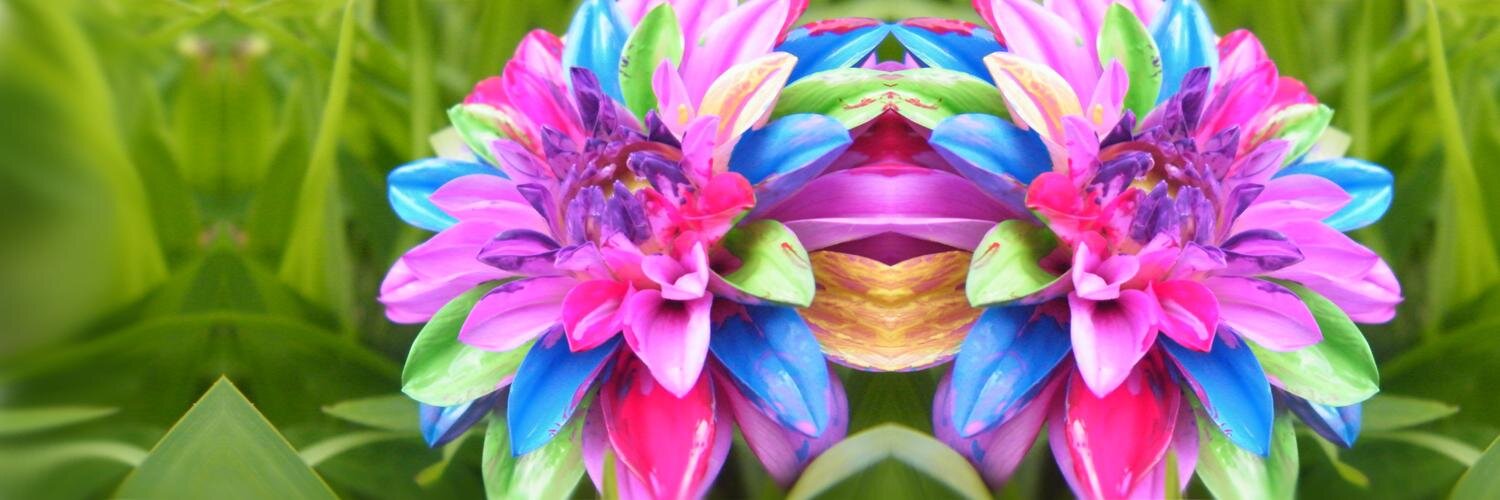 Fodwocket's profile banner image