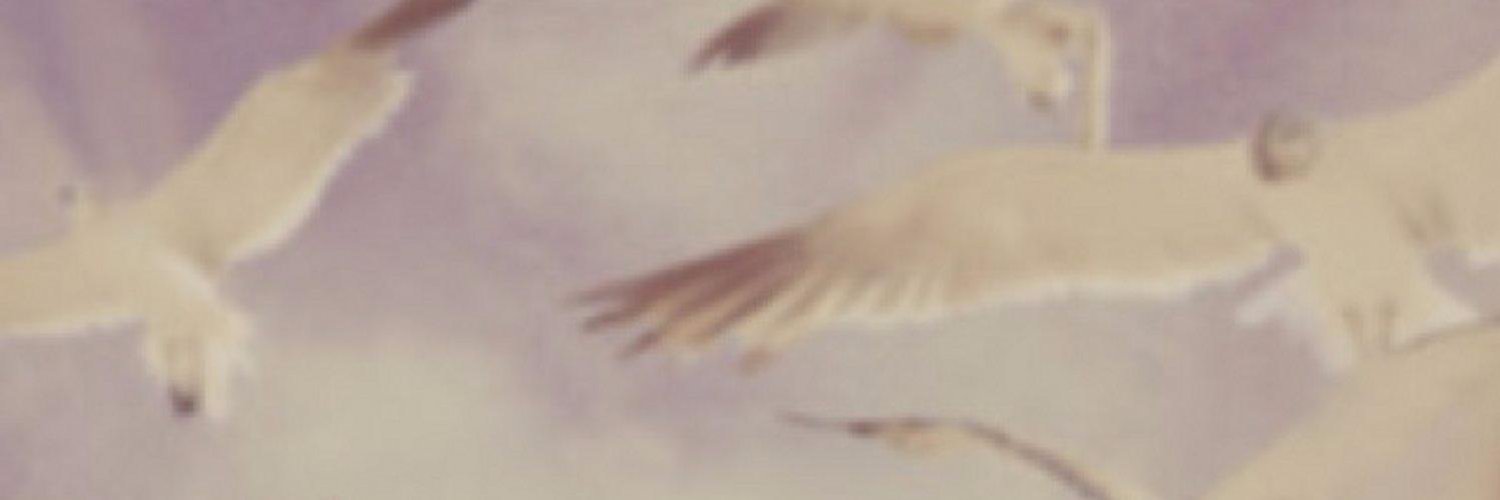 ItaLucaa's profile banner image