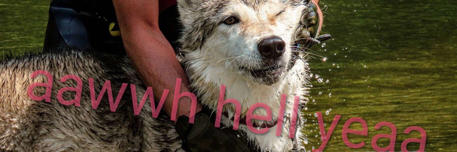 oomfbianism's profile banner image