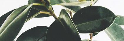 evaisela_'s profile banner image